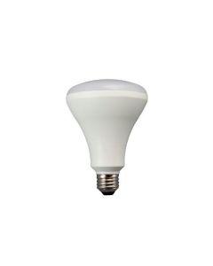 DoorKing 1615-023 LED Flood Lamp
