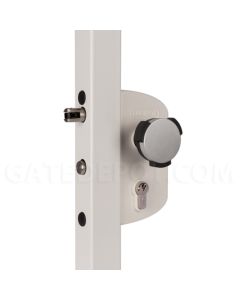 Locinox LAKZ-P1L-WSI Pool Lock