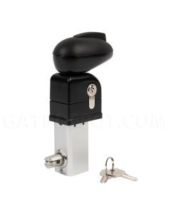 Locinox TWIST40 Swimming Pool Lock