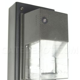 DoorKing 1200-150 Light Assembly